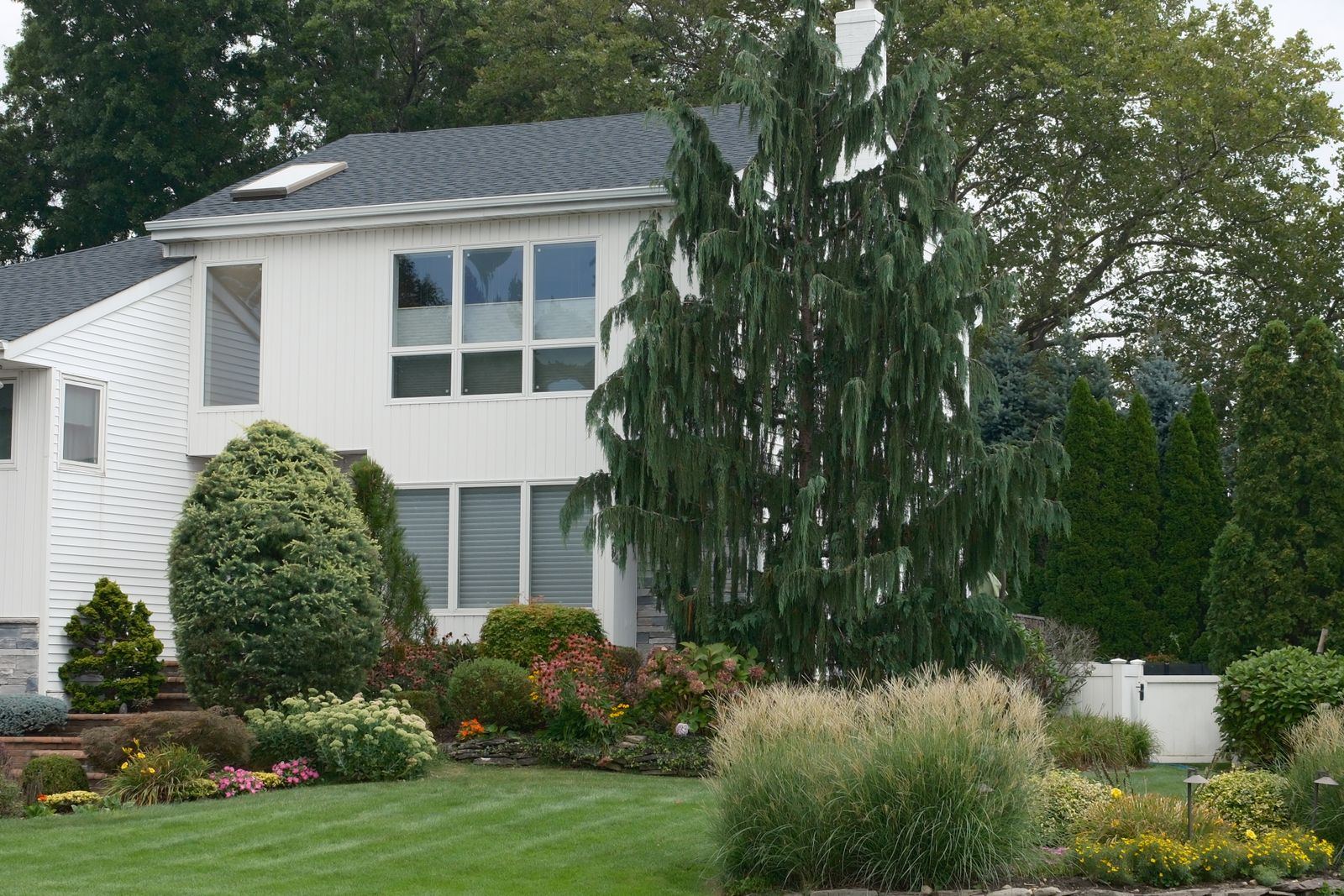 Layered garden beds of ornamental grasses, coneflowers and evergreen shrubs edged with stone in front of a white house